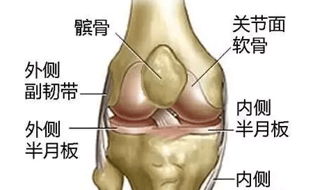 老人走不動，主要因為它