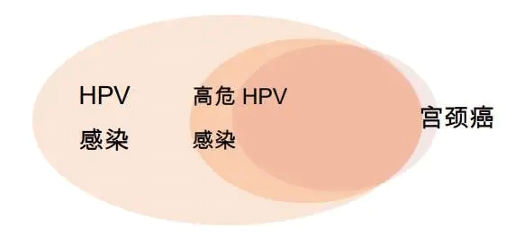 什么是HPV病毒？